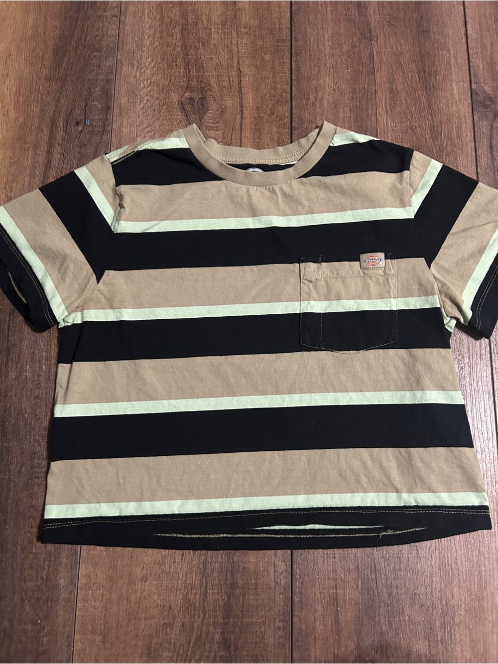 Dickies Striped Pocket Tee - Earth Tones & Mint - Size Large